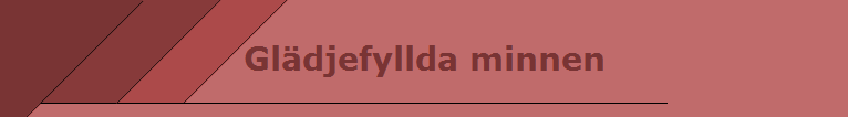 Gldjefyllda minnen